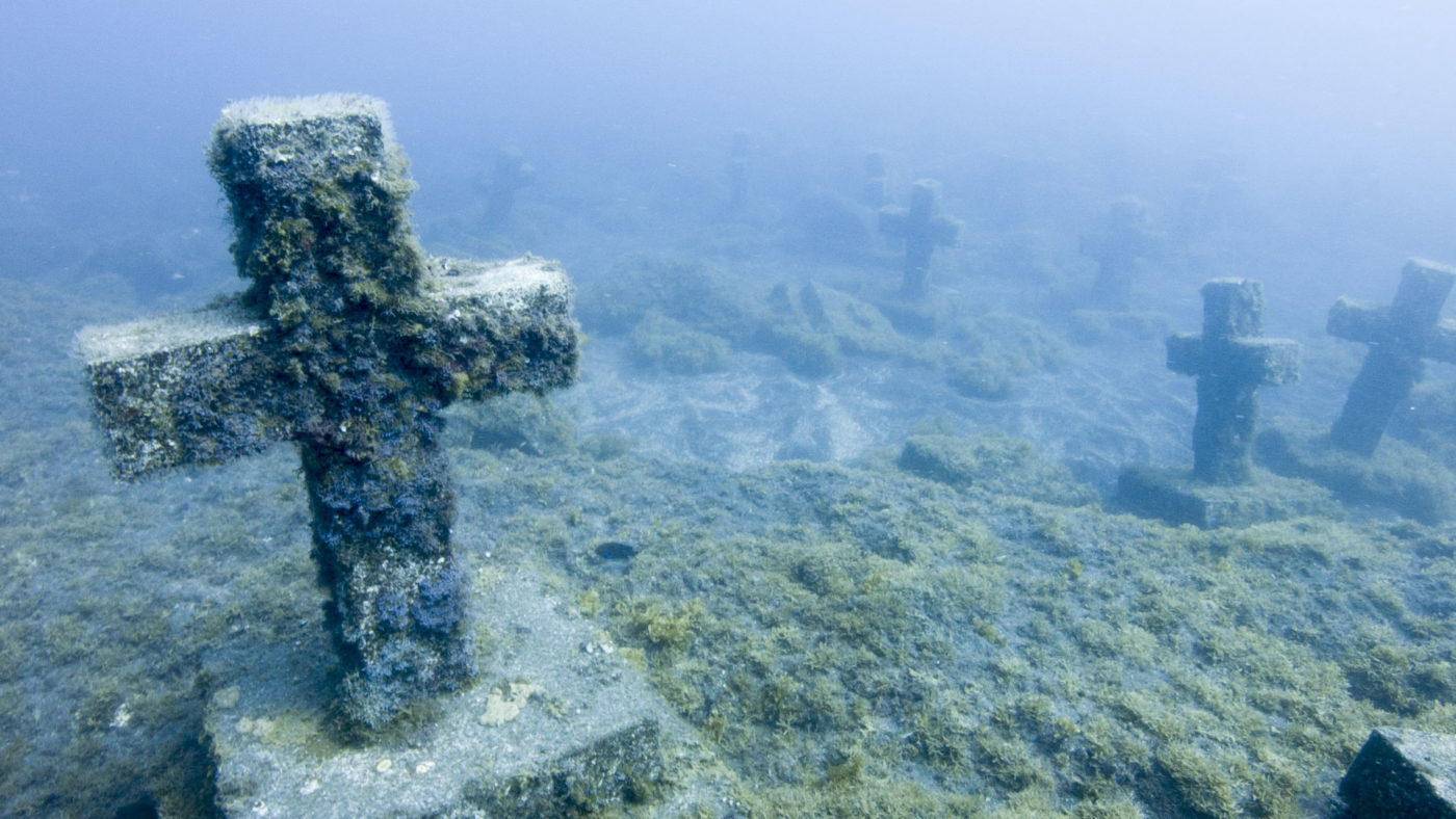 How to Meet a Mermaid played at Amsterdam Film Festival (IDFA) in 2016 | almostginger.com