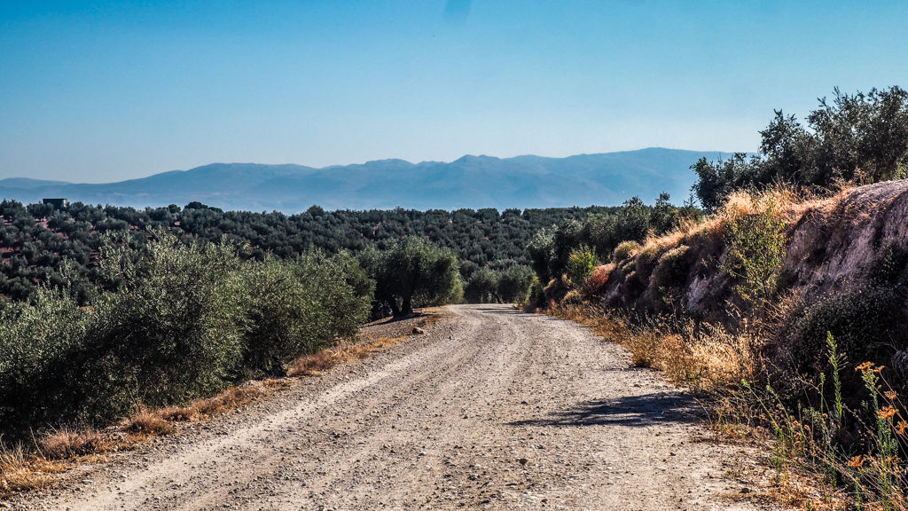 8 TEFL Course Tips: My Advice to Help you Pass | almostginger.com