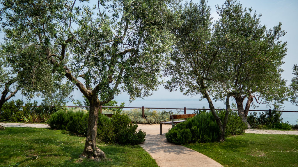 View of Lake Garda from the olive groves in Sirmione, Italy