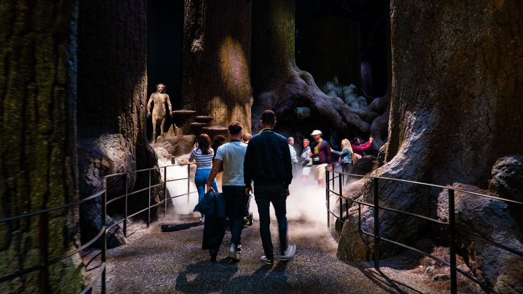 The Forbidden Forest at the Harry Potter Studios in London