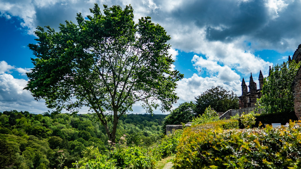 The fields and trees behind Rosslyn Chapel in Edinburgh, UK