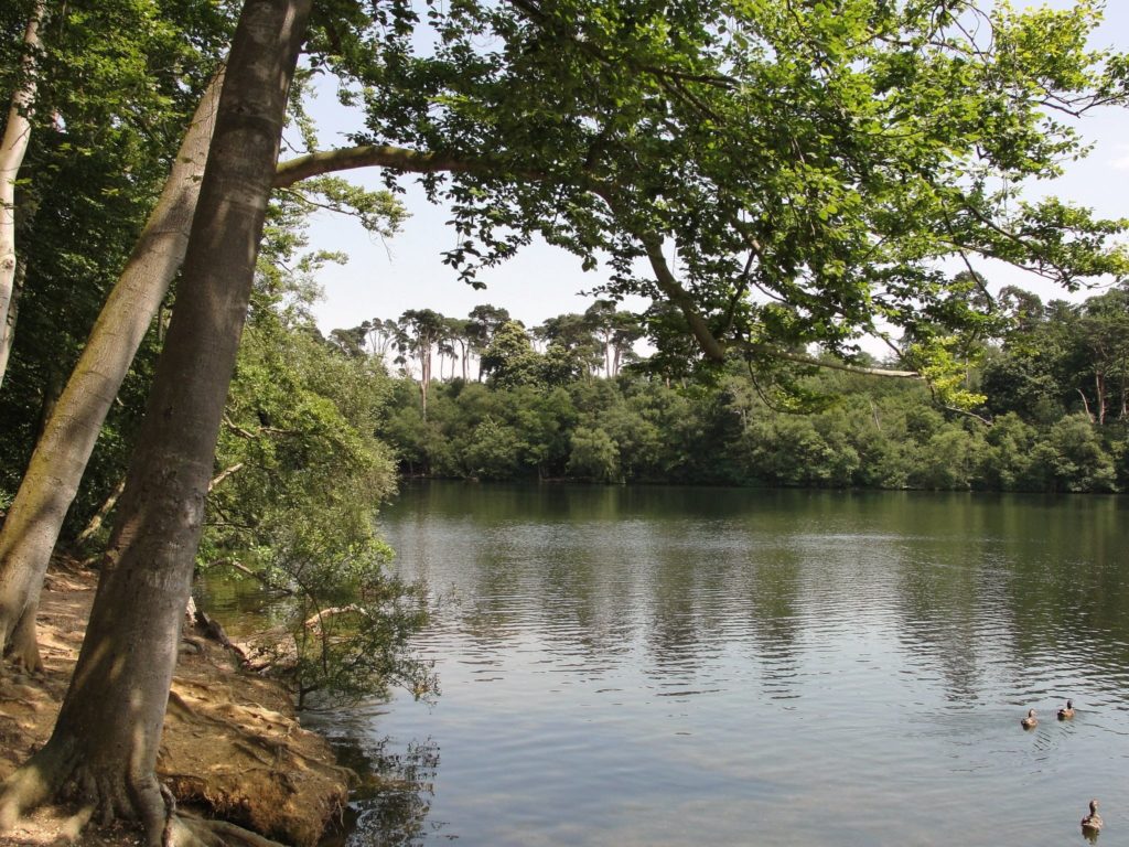 Black Park Country Park in Buckinghamshire, England