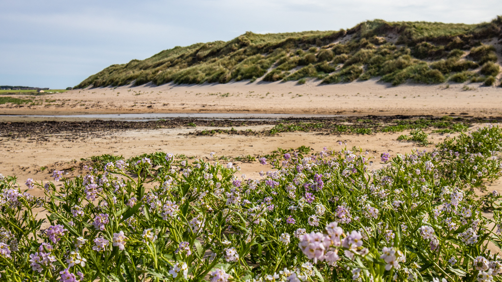 Dunnet Beach on the North Coast 500 in Scotland