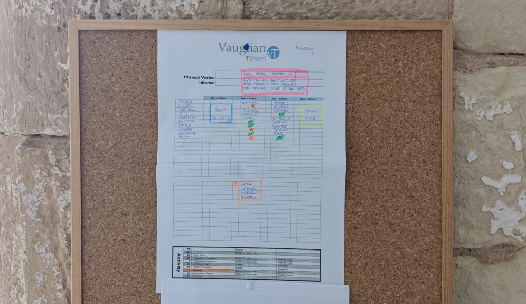 VaughanTown Volunteer Schedule Example