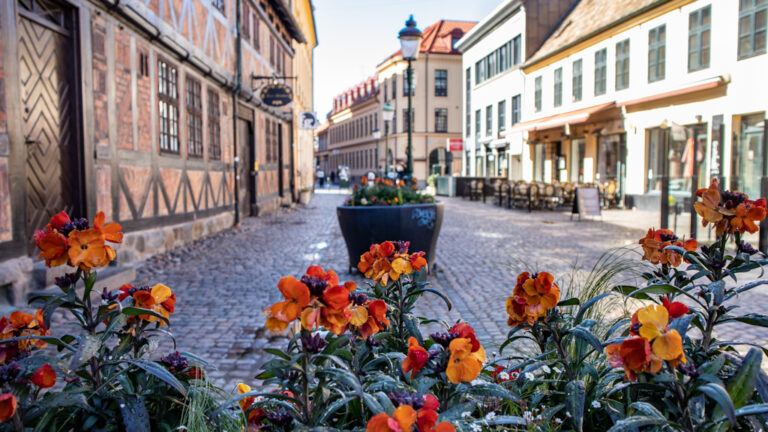 Lilla Torg one of the things to do in Malmö, Sweden