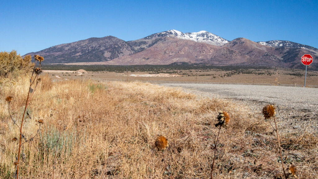 Lacky Basin Road with La Sal Mountains in the background, Utah